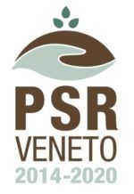 Bandi PSR Veneto: prorogati i termini per l’insediamento dei giovani agricoltori e altri aggiornamenti