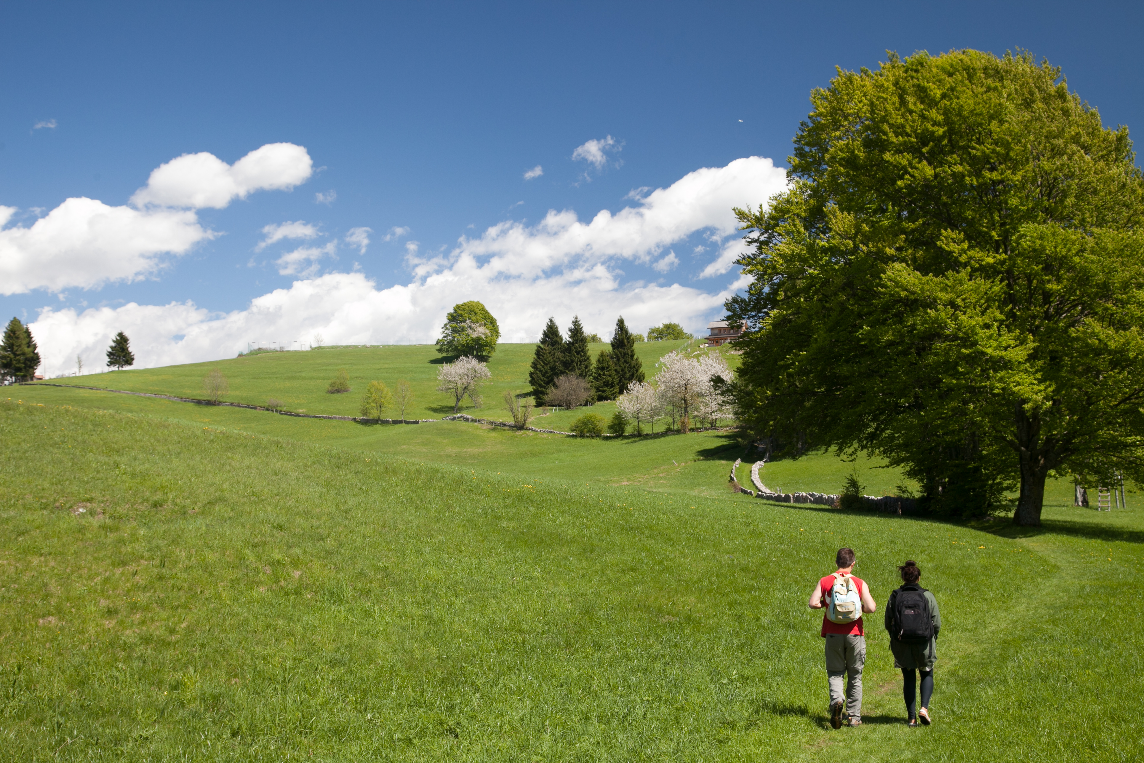 Fondo integrativo per i comuni montani