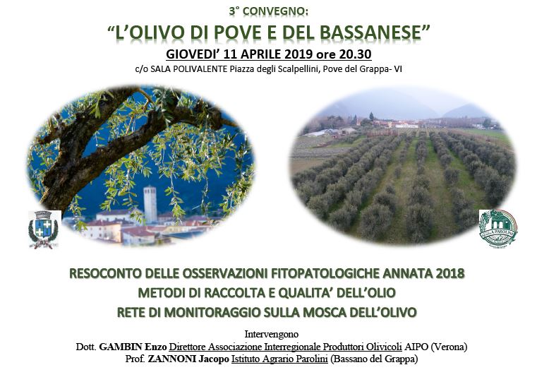 CONVEGNO “L’OLIVO DI POVE E DEL BASSANESE”