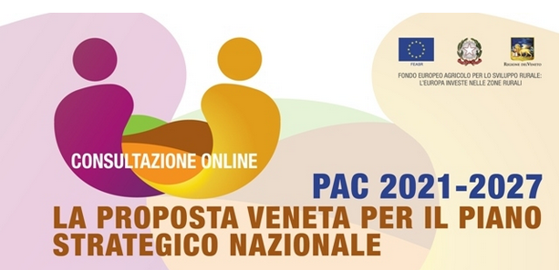 PAC 2030: ESITI DELLA CONSULTAZIONE DEL PARTENARIATO